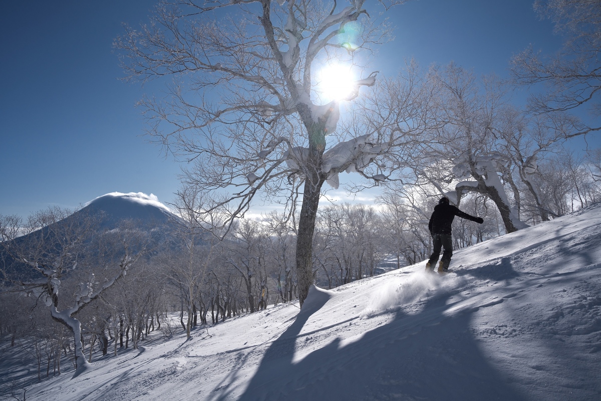 北海道滑雪場新雪谷東急 Grand HIRAFU 林間雪道 單板滑雪