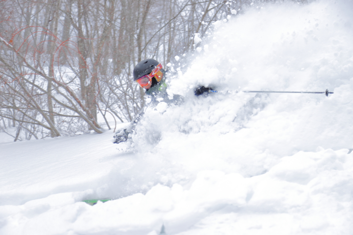 長野白馬村粉雪滑雪