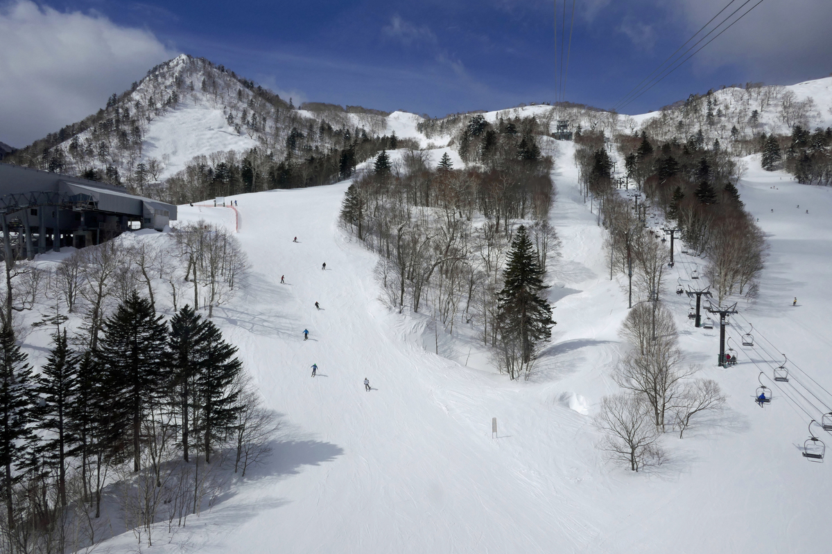 北海道富良野滑雪場冬季雪道全景