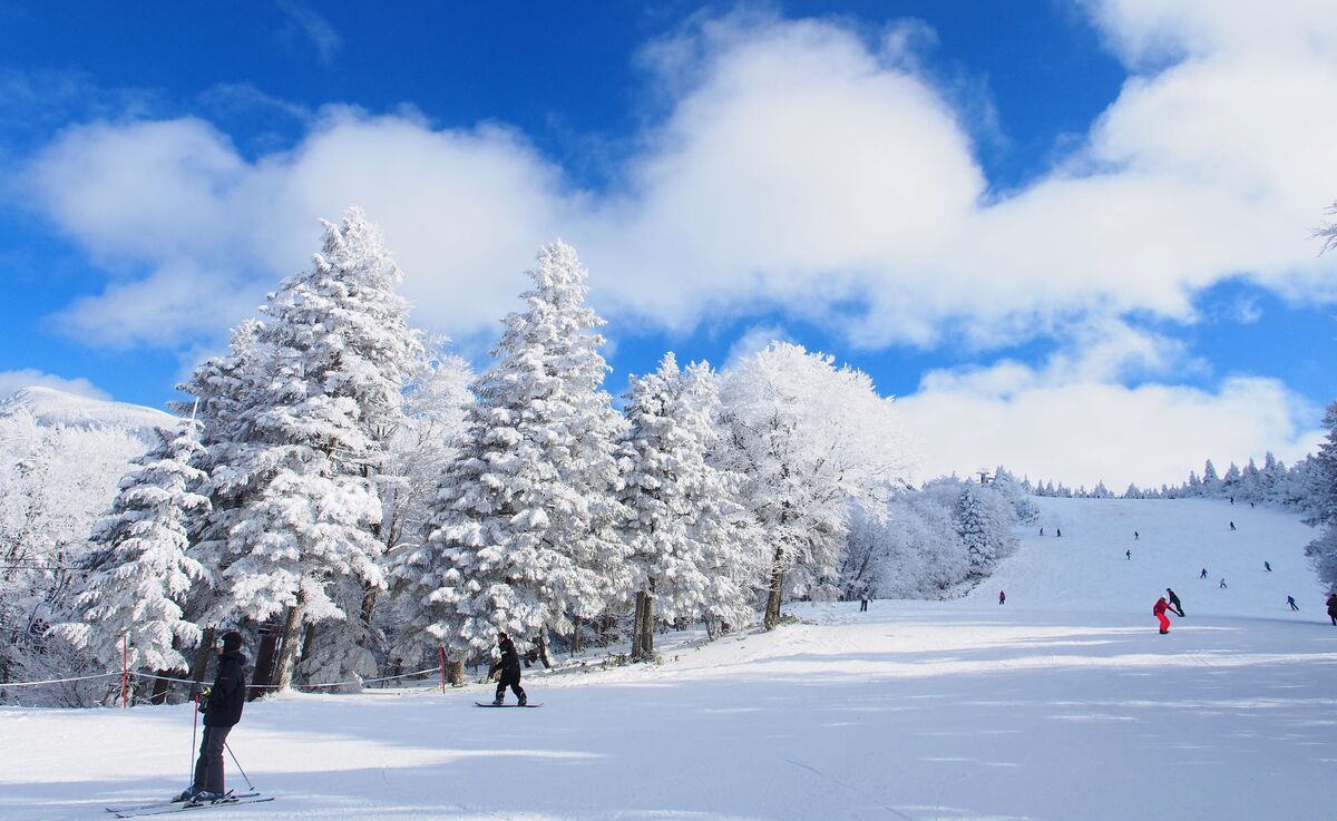 山形縣藏王溫泉滑雪場