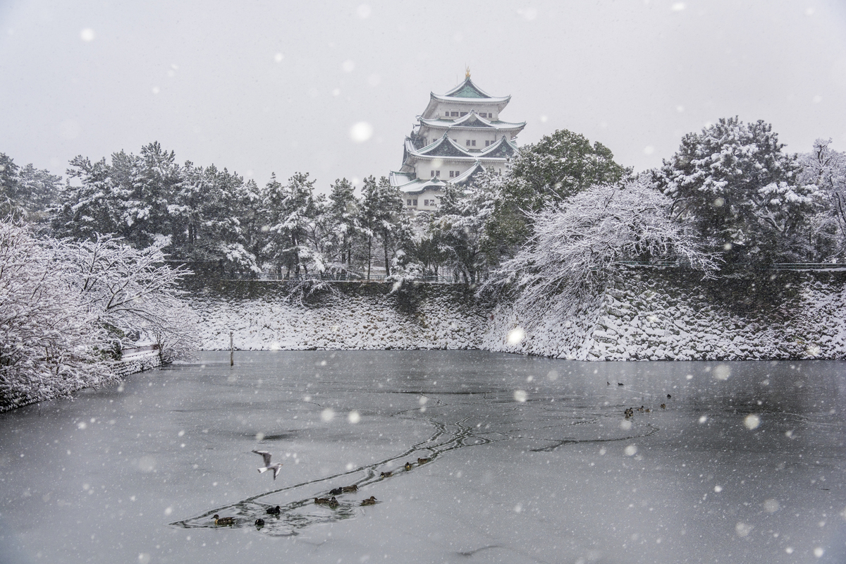 名古屋城雪景