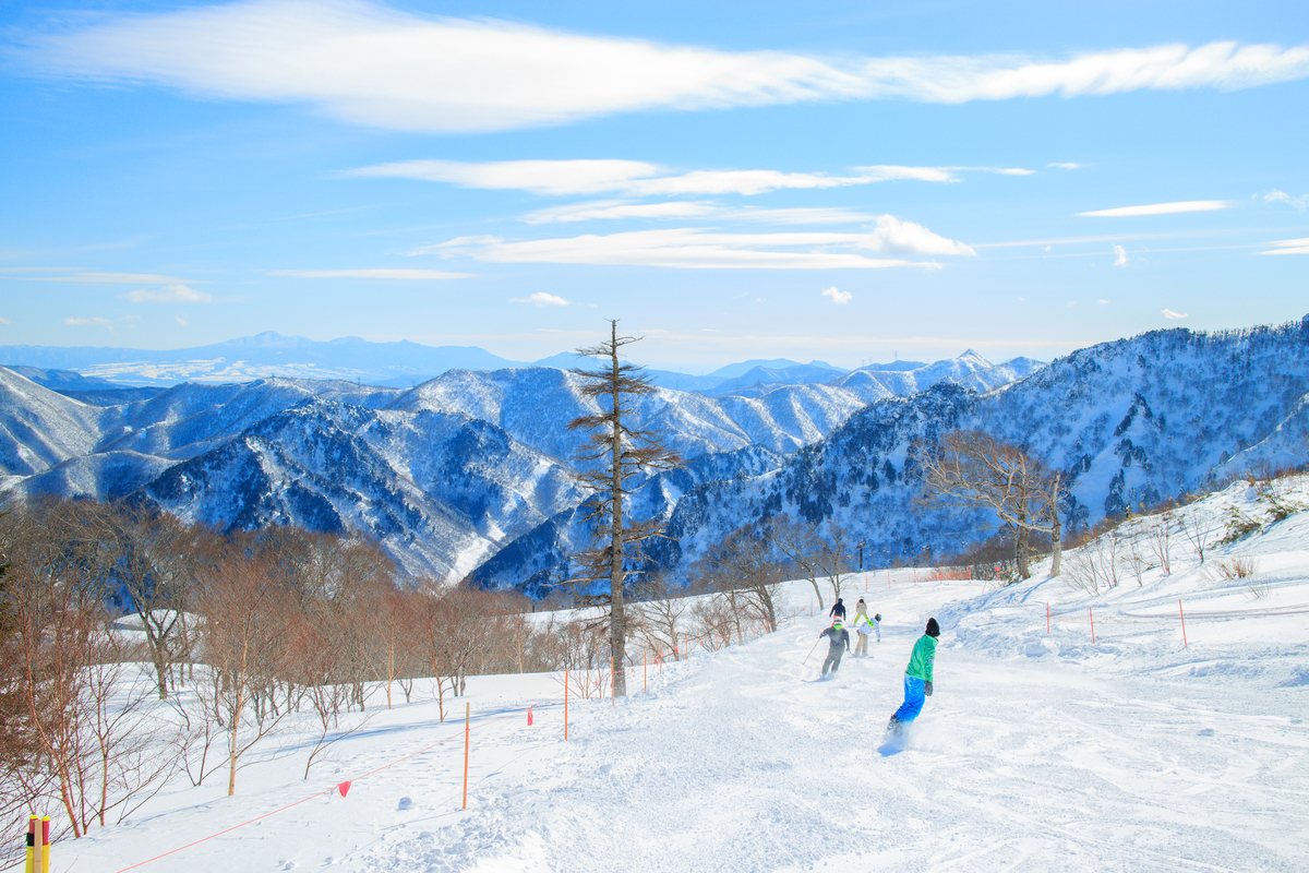 新潟苗場滑雪場