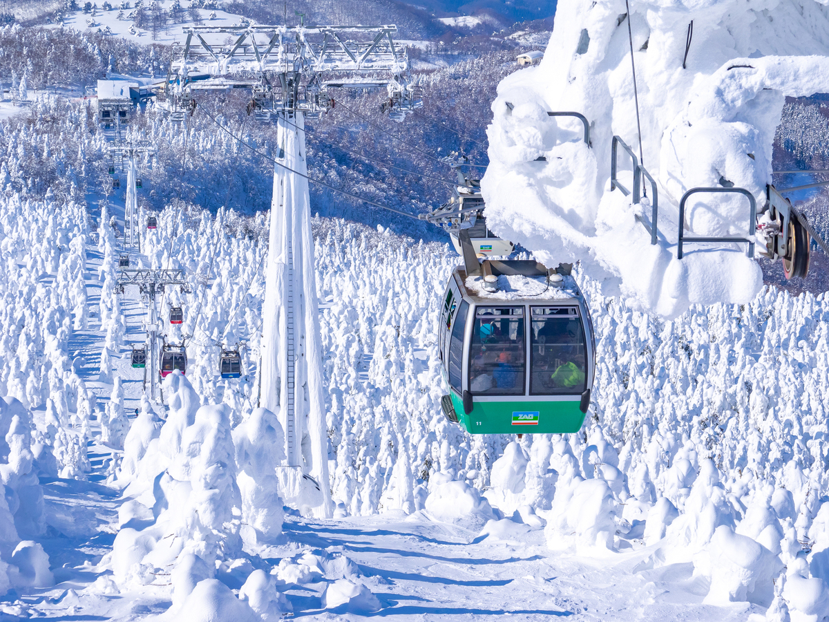 纜車上眺望藏王溫泉滑雪場壯觀的樹冰與雪道景色