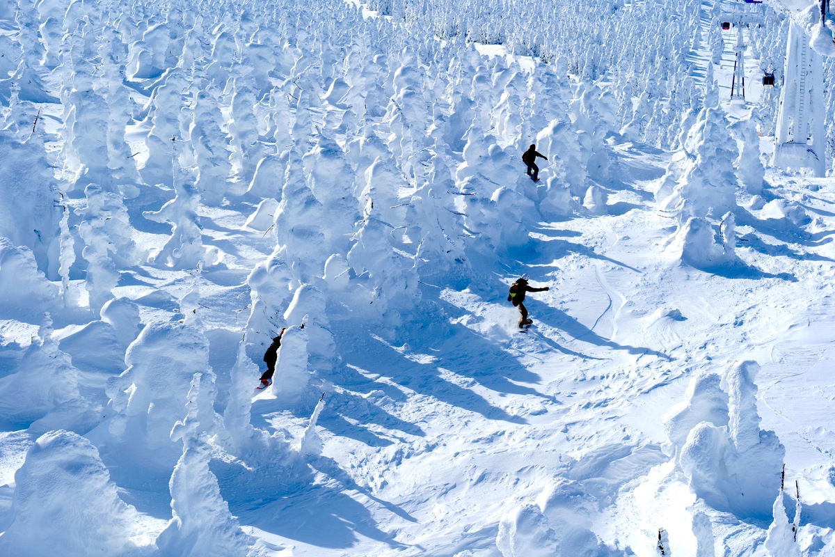山形縣藏王溫泉滑雪場樹冰原雪道