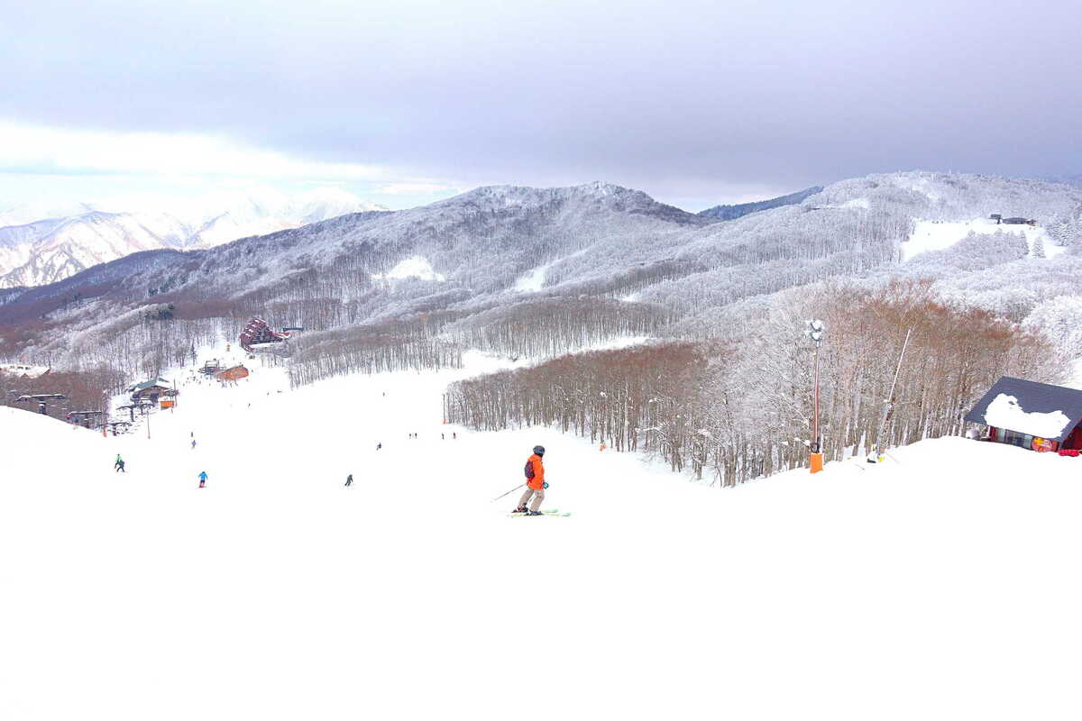 山形縣藏王溫泉滑雪場中央雪場