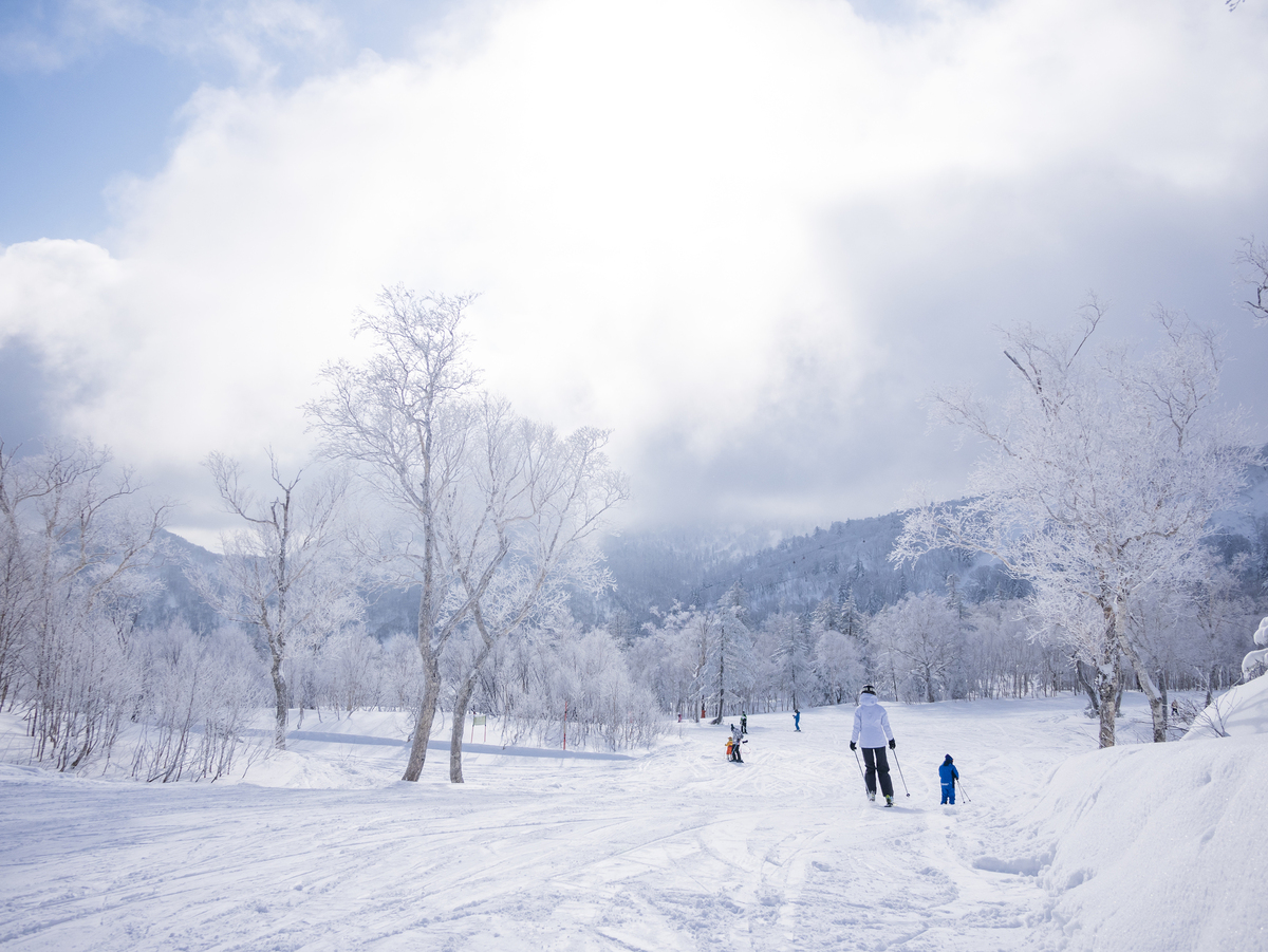 北海道札幌國際滑雪場