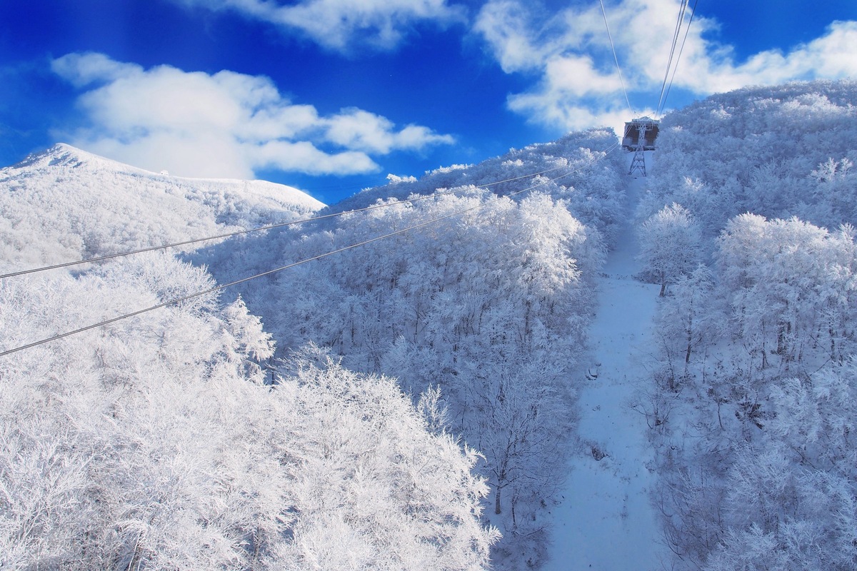 山形縣藏王溫泉滑雪場