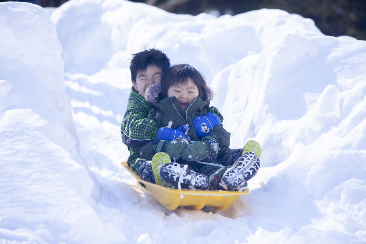 玩雪橇