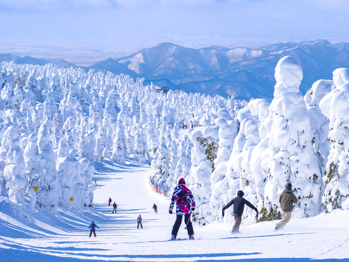 山形縣藏王溫泉滑雪場雪景與壯觀樹冰