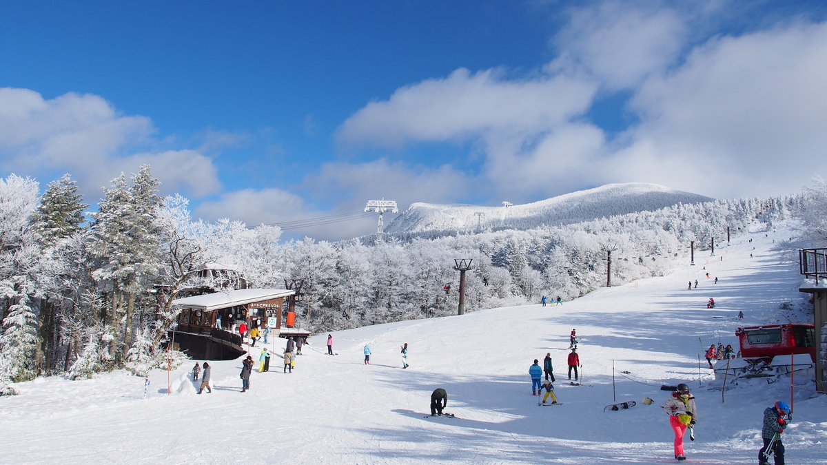 山形縣藏王溫泉滑雪場樹冰高原站和滑雪場