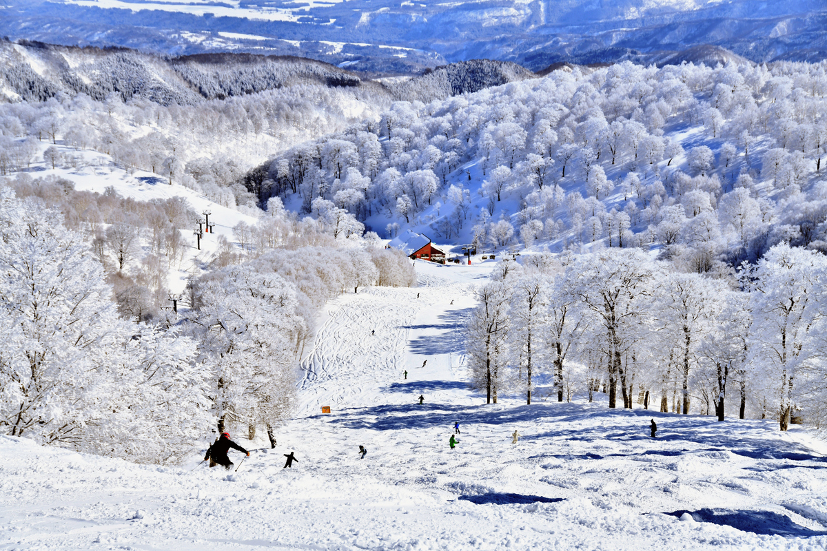 日本野澤溫泉滑雪場雪道與遠方野澤溫泉村