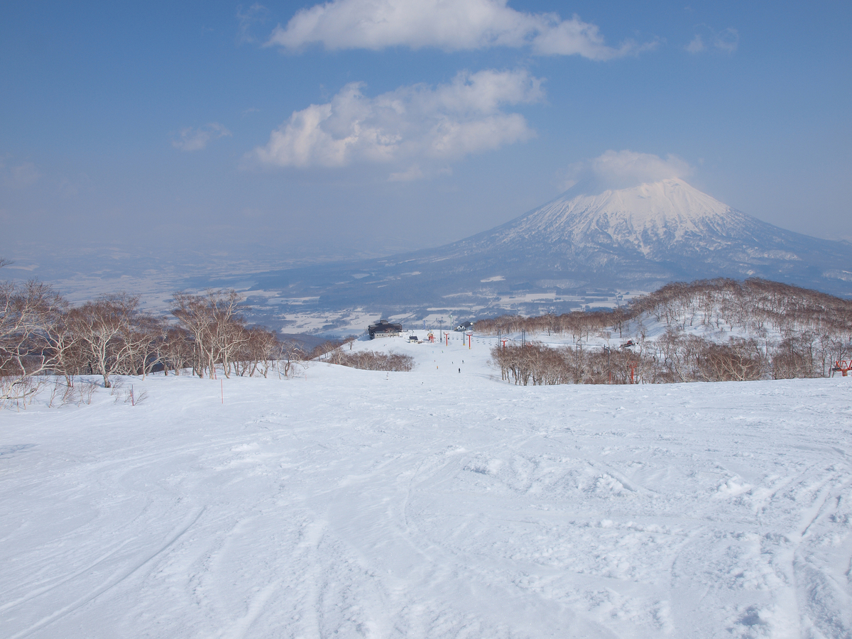 北海道粉雪雪道
