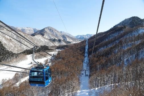 苗場滑雪場全景與纜車群，展現雪場規模之大